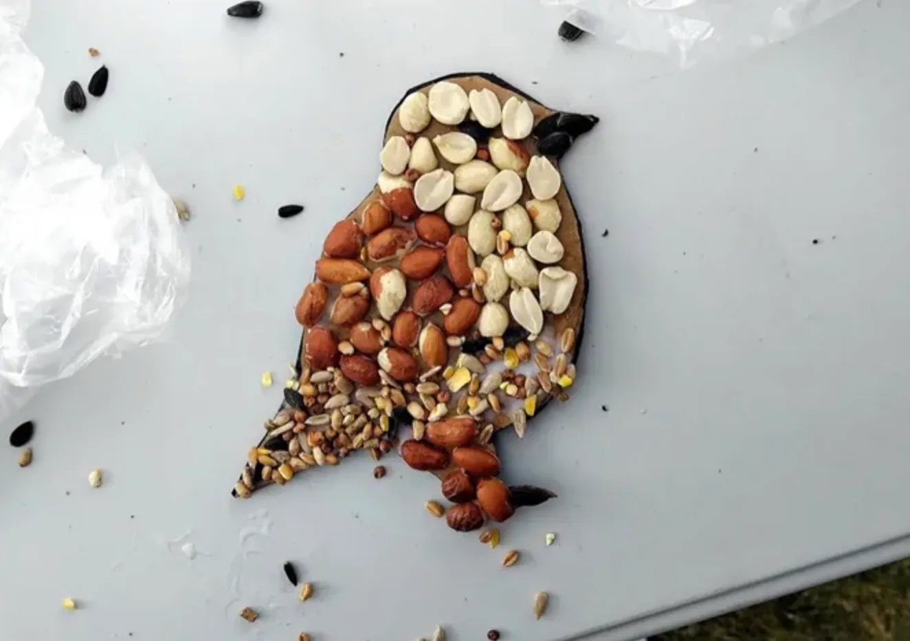 A bird made from seeds and nuts, laid out as a collage
